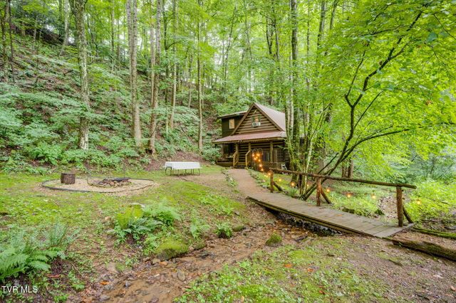 Tbd Stanley Hollow Road, Roan Mountain, TN 37687