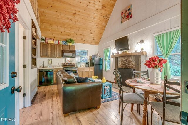 Tbd Stanley Hollow Road, Roan Mountain, TN 37687