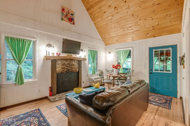 Tbd Stanley Hollow Road, Roan Mountain, TN 37687