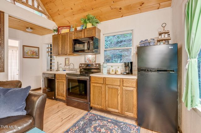 Tbd Stanley Hollow Road, Roan Mountain, TN 37687