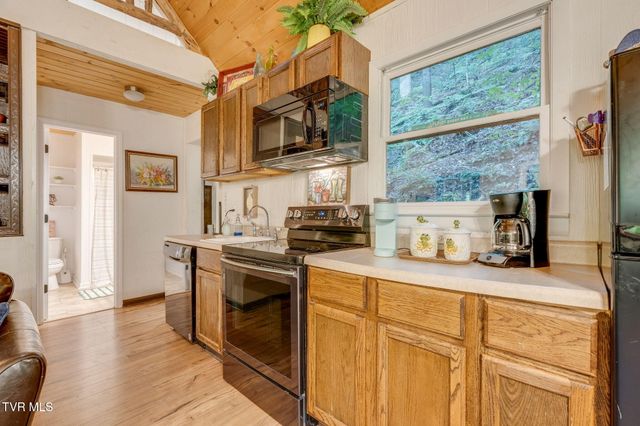Tbd Stanley Hollow Road, Roan Mountain, TN 37687