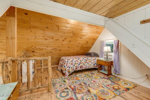 Tbd Stanley Hollow Road, Roan Mountain, TN 37687