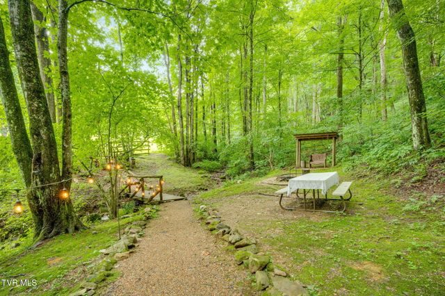 Tbd Stanley Hollow Road, Roan Mountain, TN 37687
