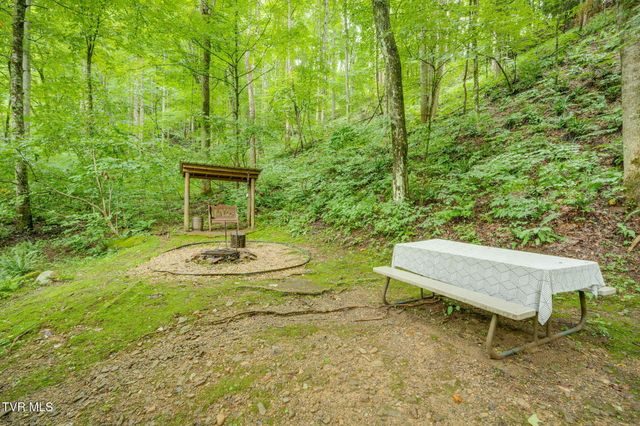 Tbd Stanley Hollow Road, Roan Mountain, TN 37687