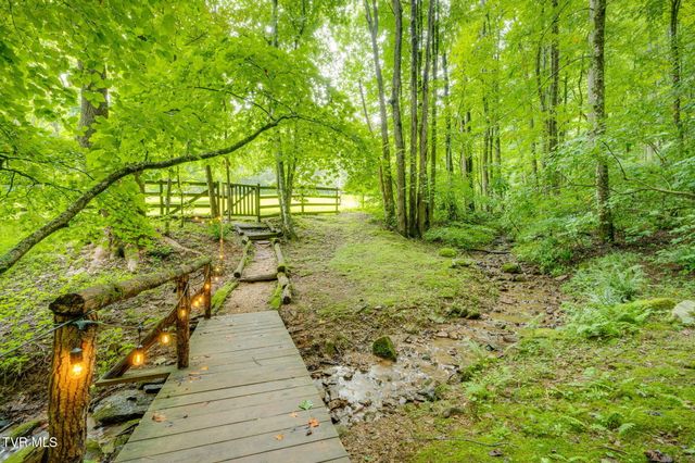 Tbd Stanley Hollow Road, Roan Mountain, TN 37687