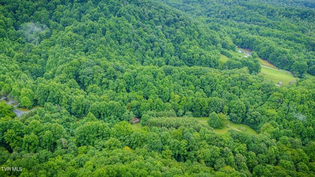 Tbd Stanley Hollow Road, Roan Mountain, TN 37687
