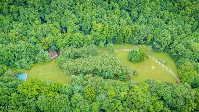Tbd Stanley Hollow Road, Roan Mountain, TN 37687
