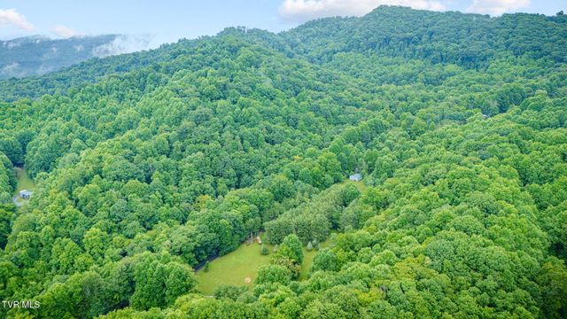 Tbd Stanley Hollow Road, Roan Mountain, TN 37687
