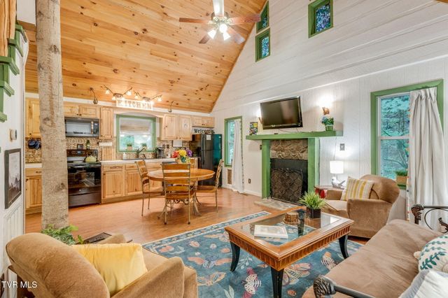 Tbd Stanley Hollow Road, Roan Mountain, TN 37687