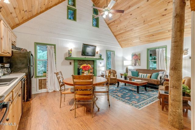 Tbd Stanley Hollow Road, Roan Mountain, TN 37687