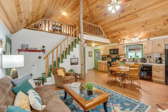 Tbd Stanley Hollow Road, Roan Mountain, TN 37687