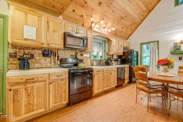 Tbd Stanley Hollow Road, Roan Mountain, TN 37687