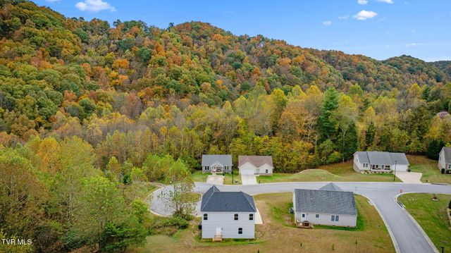 215 Brighton Place, Bristol, TN 37620