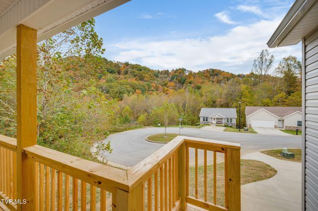 215 Brighton Place, Bristol, TN 37620