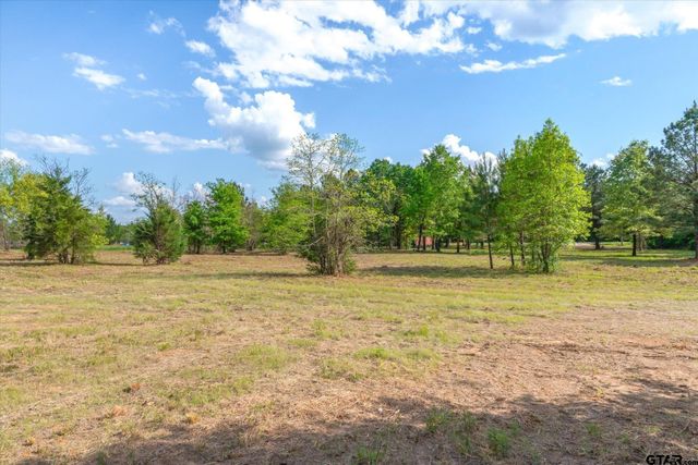00 Hwy 69, Alba, TX 75410
