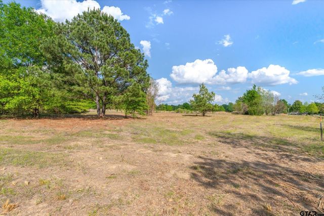 00 Hwy 69, Alba, TX 75410