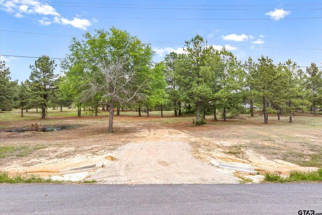 00 Hwy 69, Alba, TX 75410