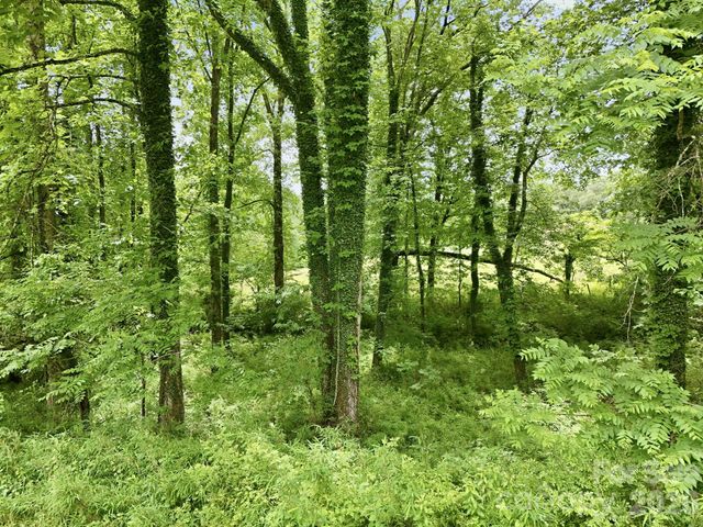 TBD Tract C Pole Miller Extension Tract C, Brevard, NC 28712