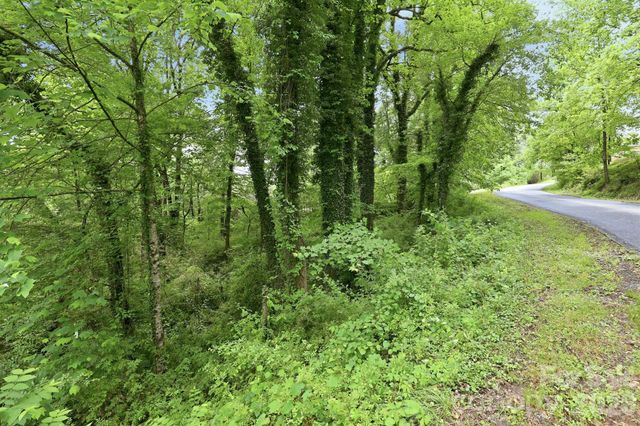 TBD Tract C Pole Miller Extension Tract C, Brevard, NC 28712