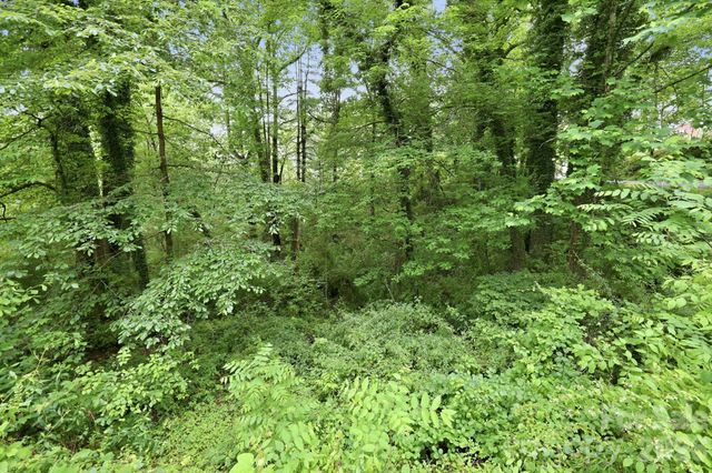 TBD Tract C Pole Miller Extension Tract C, Brevard, NC 28712