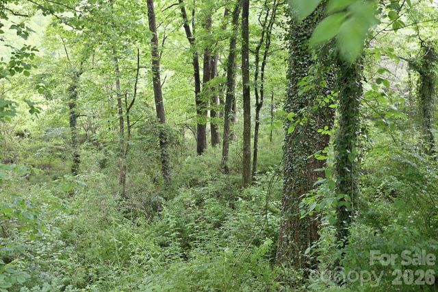 TBD Tract C Pole Miller Extension Tract C, Brevard, NC 28712