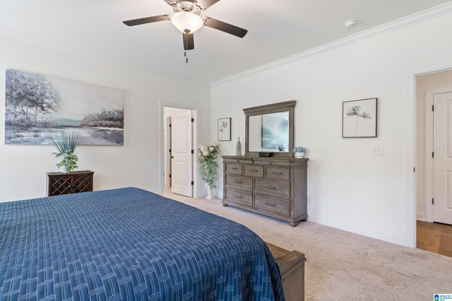 509 RIVERWOODS COURT, Helena, AL 35080