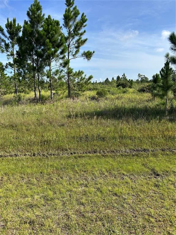 415 BELMONTE DRIVE, Indian Lake Estates, FL 33855