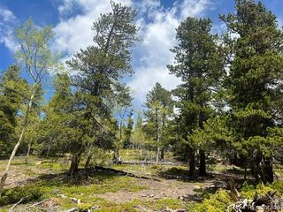 001 Sunny Skies Trail, Idaho Springs, CO 80452