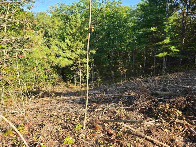 109 Royal Oak Lane, Marquette, MI 49855