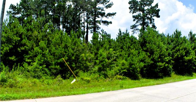 238 County Road 3545, Cleveland, TX 77327