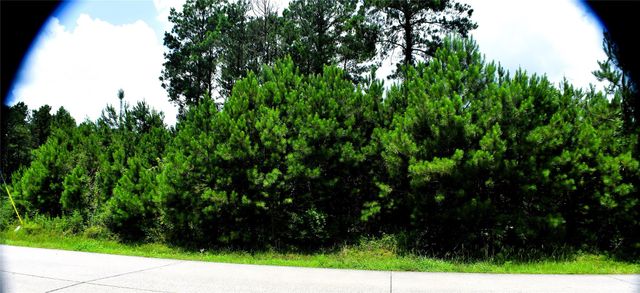 238 County Road 3545, Cleveland, TX 77327