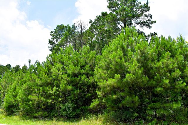 238 County Road 3545, Cleveland, TX 77327