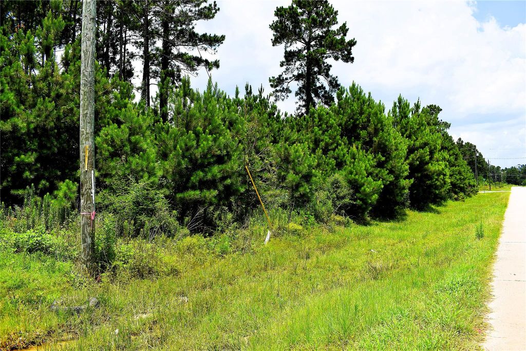 238 County Road 3545, Cleveland, TX 77327