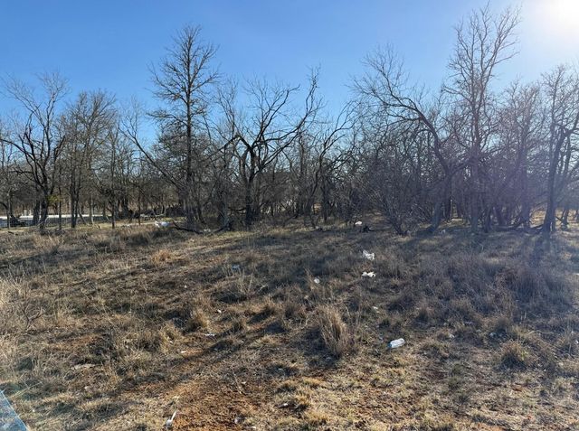 133 Chandler CV, Cedar Creek, TX 78612