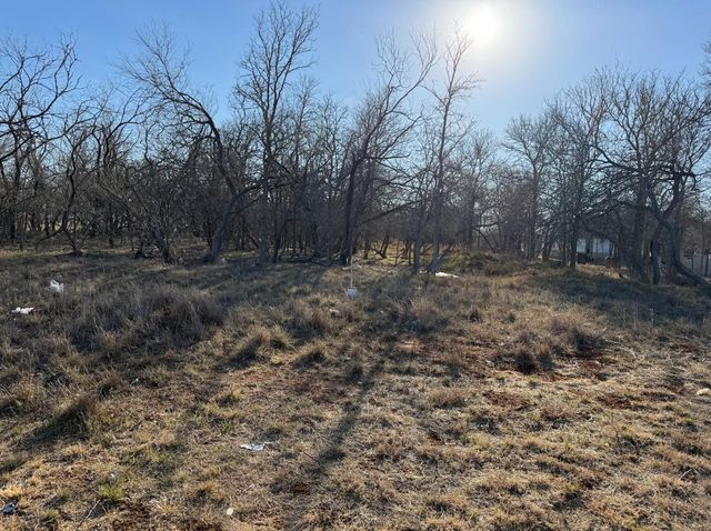 133 Chandler CV, Cedar Creek, TX 78612