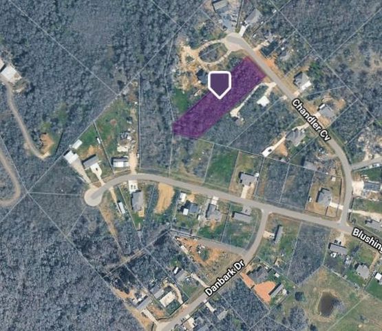 133 Chandler CV, Cedar Creek, TX 78612