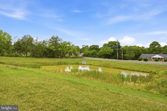 102 CURTAIN FALL DR, Middletown, VA 22645