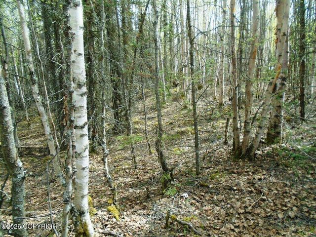6671 S Lark Circle, Wasilla, AK 99623