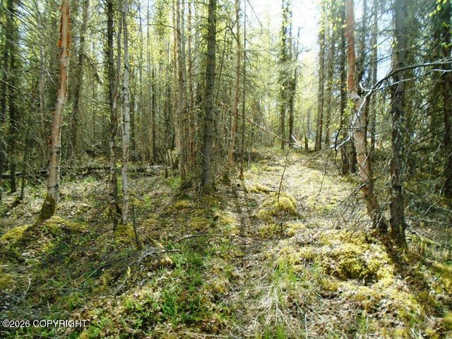 6671 S Lark Circle, Wasilla, AK 99623