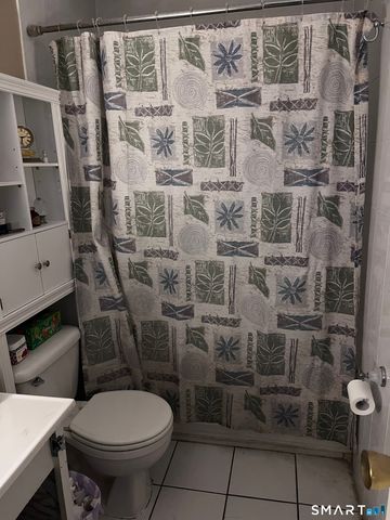 29 Balance Rock Road APT 5, Seymour, CT 06483