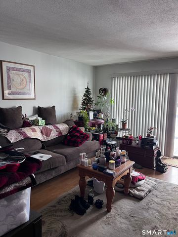 29 Balance Rock Road APT 5, Seymour, CT 06483