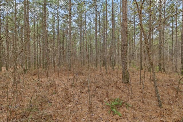 0 Melody Drive 2055, Guild, TN 37340