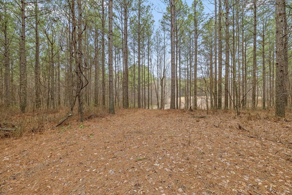 0 Melody Drive 2055, Guild, TN 37340