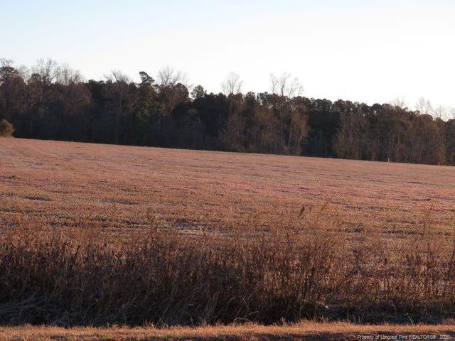 Raynham Road, Fairmont, NC 28340