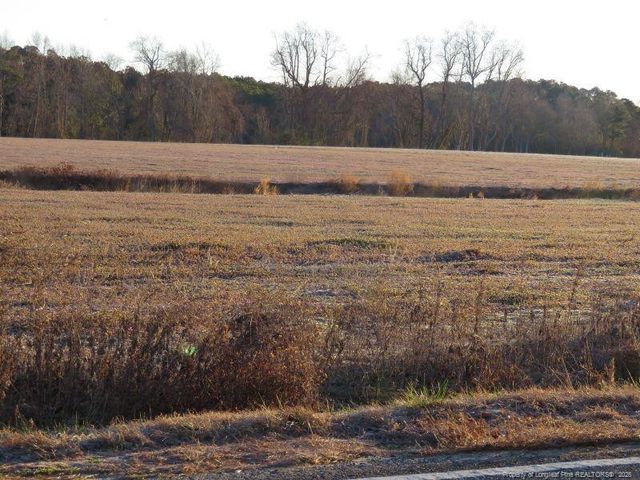 Raynham Road, Fairmont, NC 28340