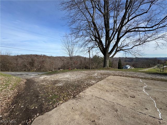 69142 Woods Road, Bridgeport, OH 43912