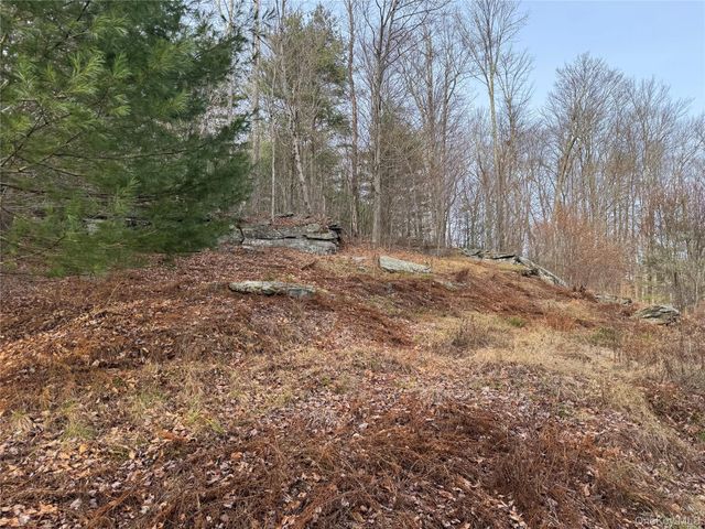 Hilltop Road, Monticello, NY 12701