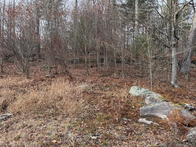 Hilltop Road, Monticello, NY 12701