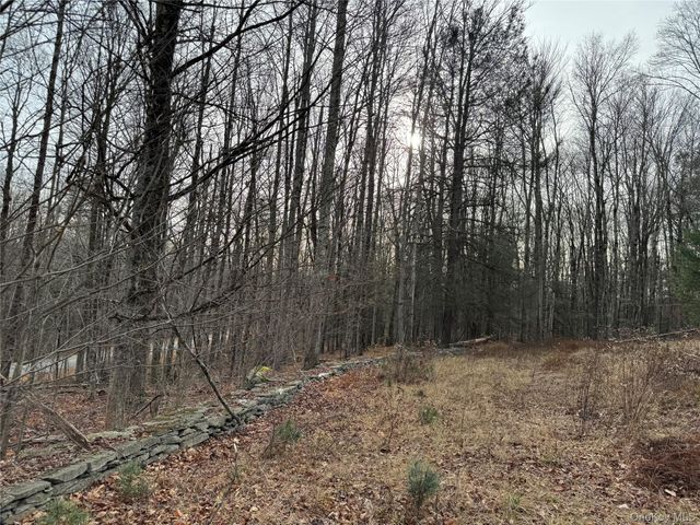 Hilltop Road, Monticello, NY 12701
