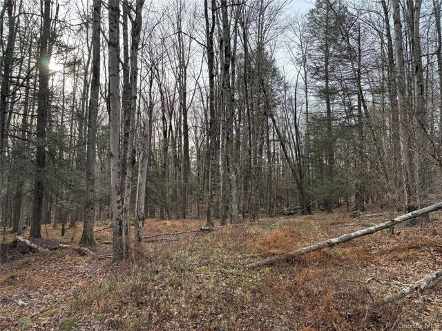 Hilltop Road, Monticello, NY 12701